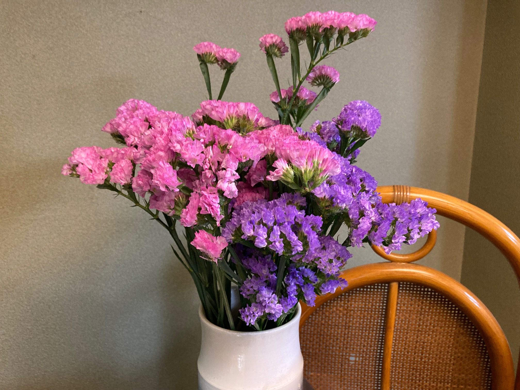 花スターチスd 銀座シチュー専門店 銀之塔